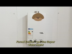 डिजिटल तापमान समायोज्य जबरन निकास गैस पानी हीटर उच्च दक्षता 12L - 24L
