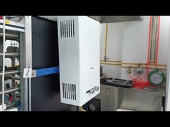 10L क्षमता गैस पानी हीटर संतुलित धुआं प्रणाली तेजी से हीटिंग